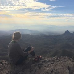 Movement in a Mercurial World